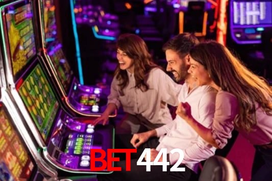 Experiência VIP bet442