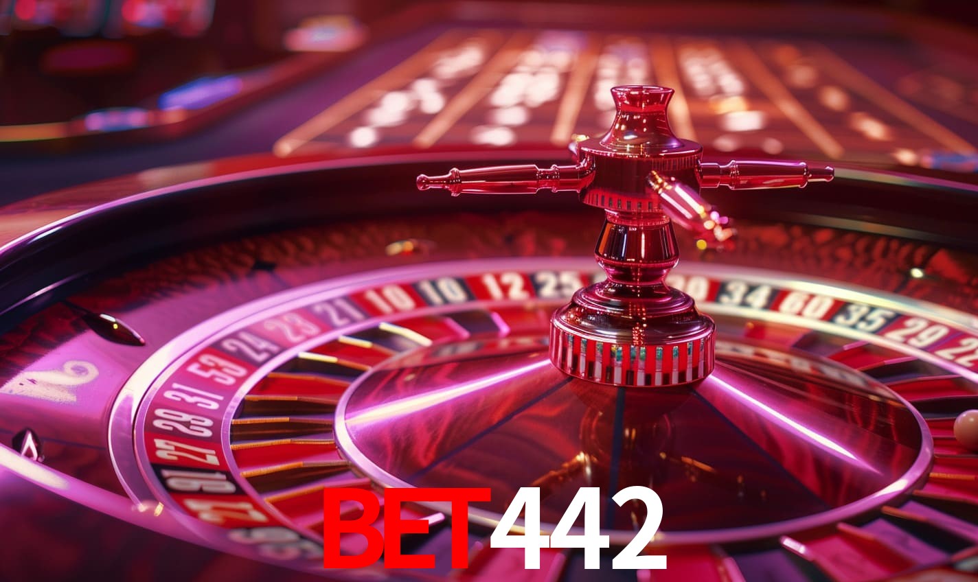 Programa VIP bet442